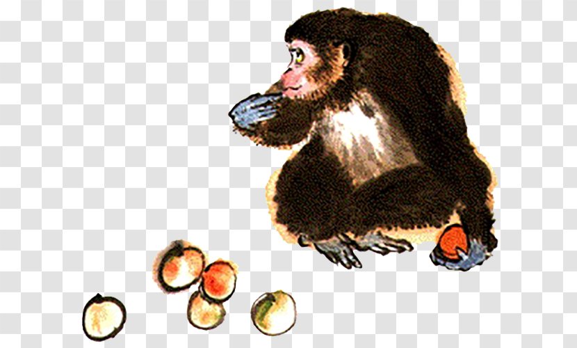 Monkey Finger Hand - Fauna - Eating Fruit Transparent PNG