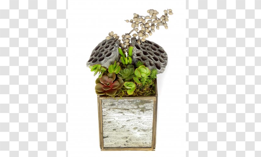 Luludi Living Art Glass Terrarium Garden Houseplant - Herb Transparent PNG