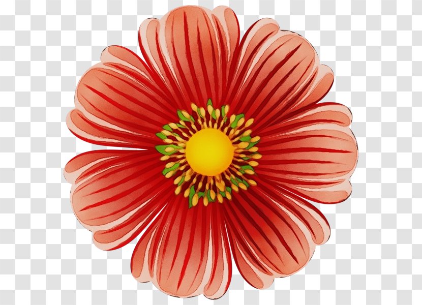 Ink Abstract Background - Daisy Family - Perennial Plant Pollen Transparent PNG