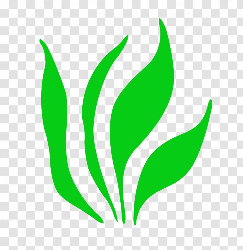 Gellerup Herbaceous Plant Image Clip Art - Industry - Grass Transparent PNG