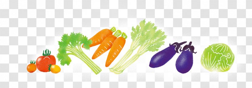 Diet Food Natural Foods Superfood - Vegetable Folder Transparent PNG