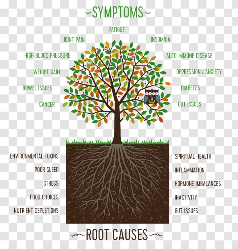 Family Constellations Psychology Root Cause Psychotherapist - Plant Transparent PNG