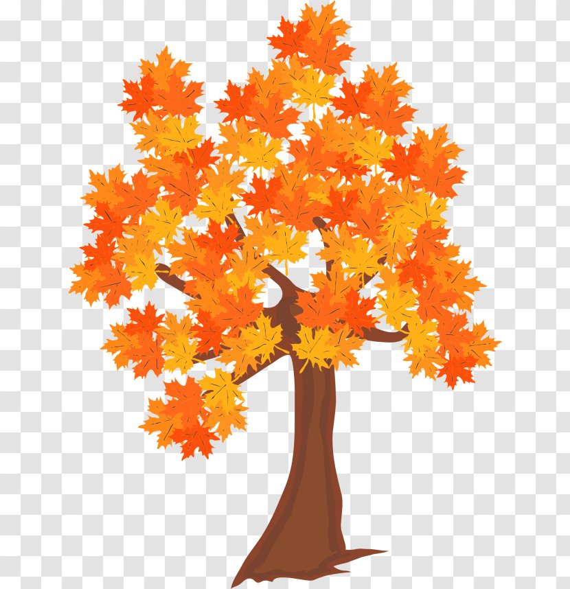 Autumn Tree Clip Art - Woody Plant Transparent PNG