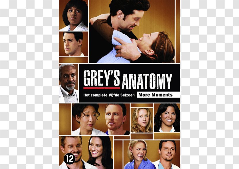 Grey's Anatomy - Watercolor - Season 5 Television Show AnatomySeason 1 8Dvd Transparent PNG