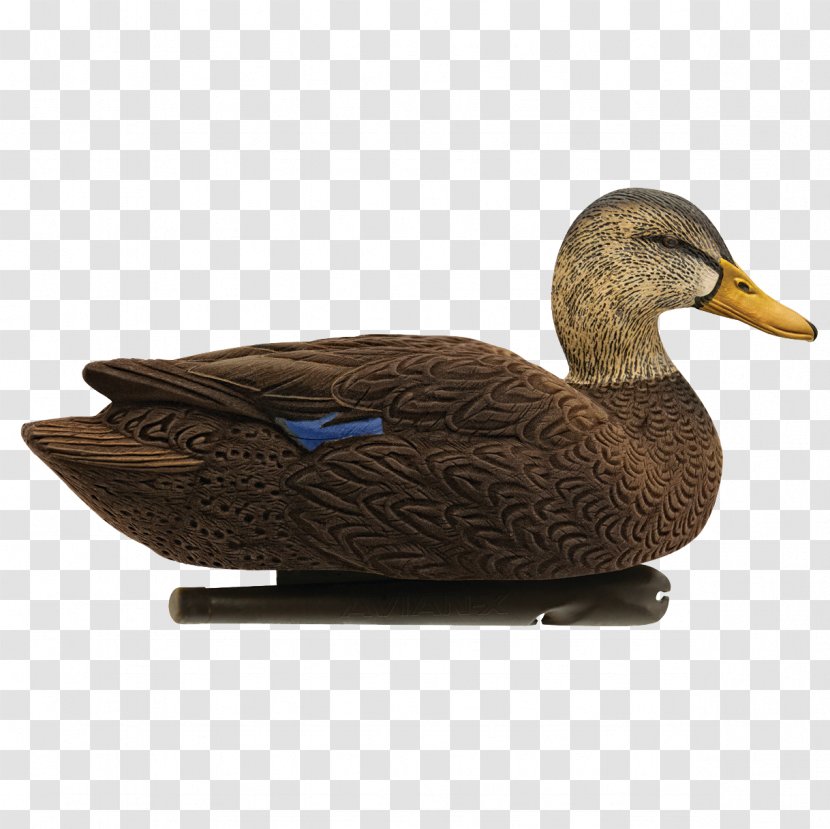 Mallard Duck Decoy Call Transparent PNG