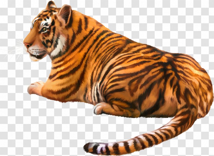 Bengal Tiger Siberian Felidae White - Big Cats - Roar Transparent PNG