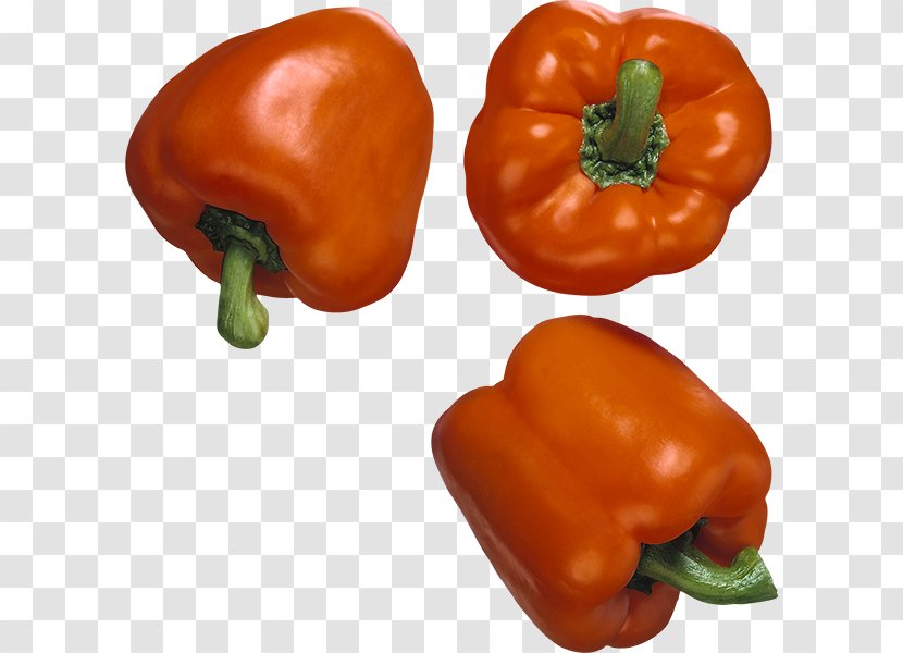 Habanero Tabasco Pepper Cayenne Friggitello Yellow - Pimiento Transparent PNG