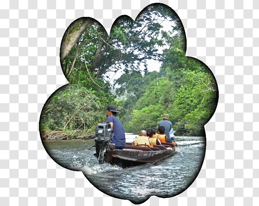 Water Transportation Resources River Tree - Tourism Transparent PNG