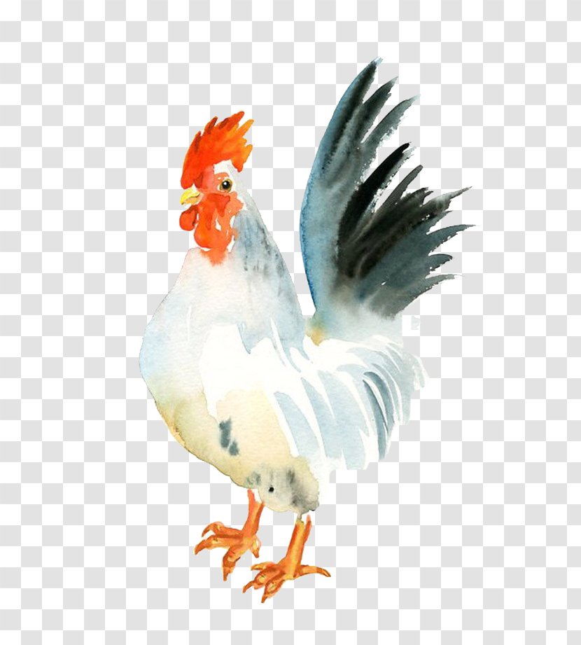 Chicken Watercolor Painting Rooster Paper - Feather - Big White Cock Transparent PNG
