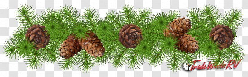 Christmas Decoration Garland - Conifer Cone - Pine Transparent PNG