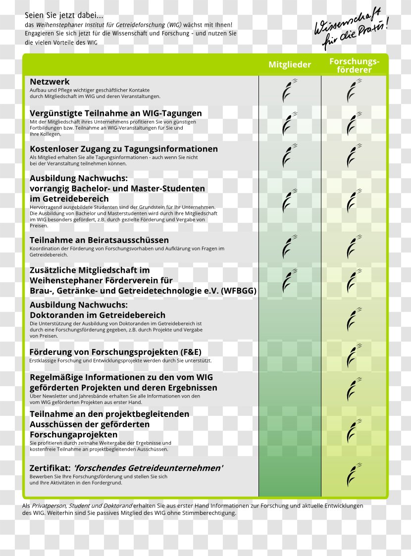 Paper Green Document Screenshot Font - Fabruary 14 Transparent PNG