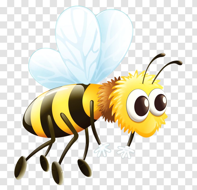 Western Honey Bee Worker Queen Transparent PNG