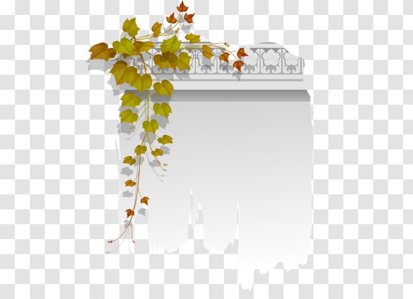 Clip Art - Floral Design - Computer Transparent PNG