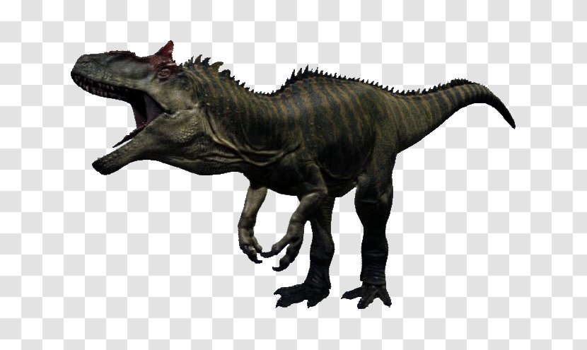 Allosaurus Torvosaurus Dinosaur Carnotaurus Image - Tyrannosaurus Transparent PNG