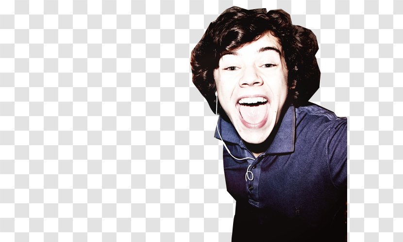 Harry Styles One Direction - Heart Transparent PNG