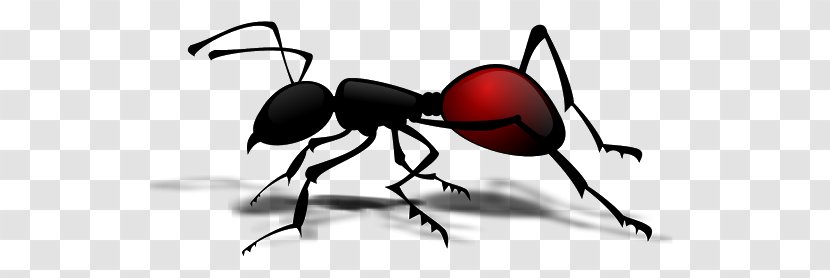 Queen Ant Insect Clip Art - Black Garden Transparent PNG