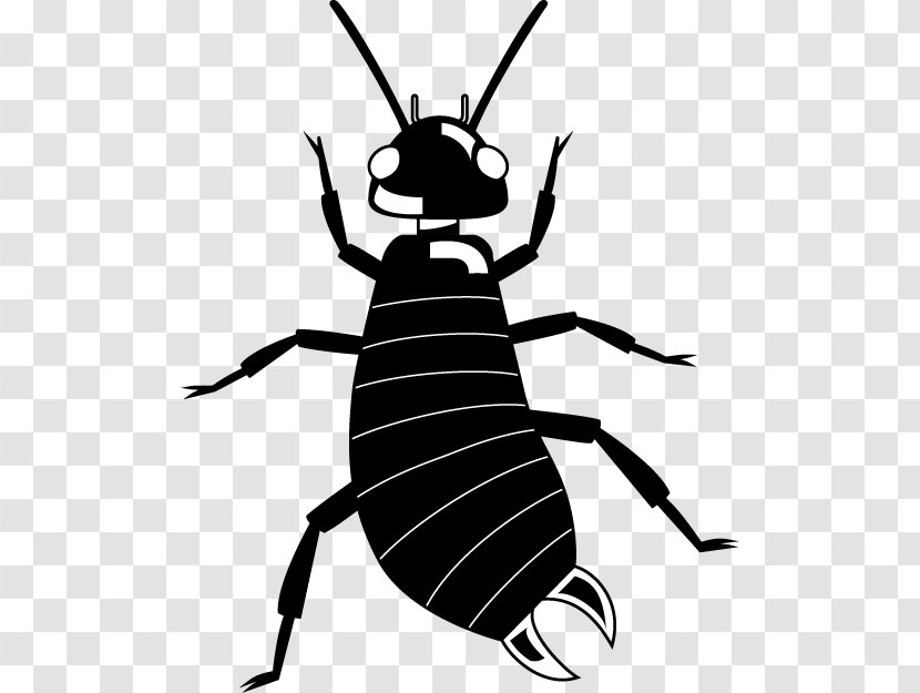 Fly Clip Art Insect Ant Arthropod - Black And White - Earwigs Transparent PNG
