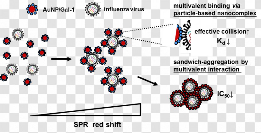 Virus Nanoparticle Gripiviirused Kultananopartikkeli Influenza - Nanometer - Influenzavirus B Transparent PNG