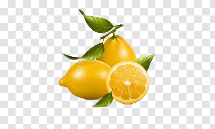 Lemonade Fruit Royalty-free Clip Art - Royaltyfree - Kumquat Lemon Decorative Elements Transparent PNG