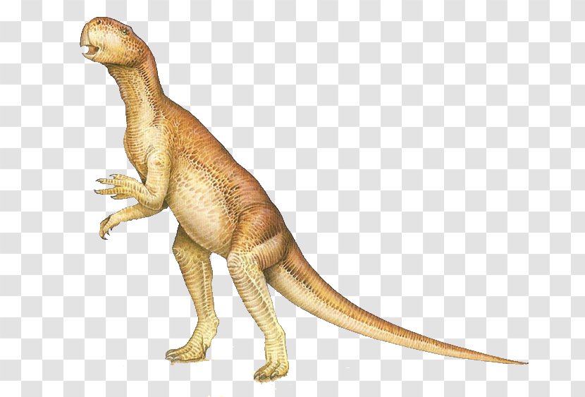 Psittacosaurus Triceratops Tyrannosaurus Brachiosaurus Sauropoda - Terrestrial Animal - Cute Dinosaur Transparent PNG