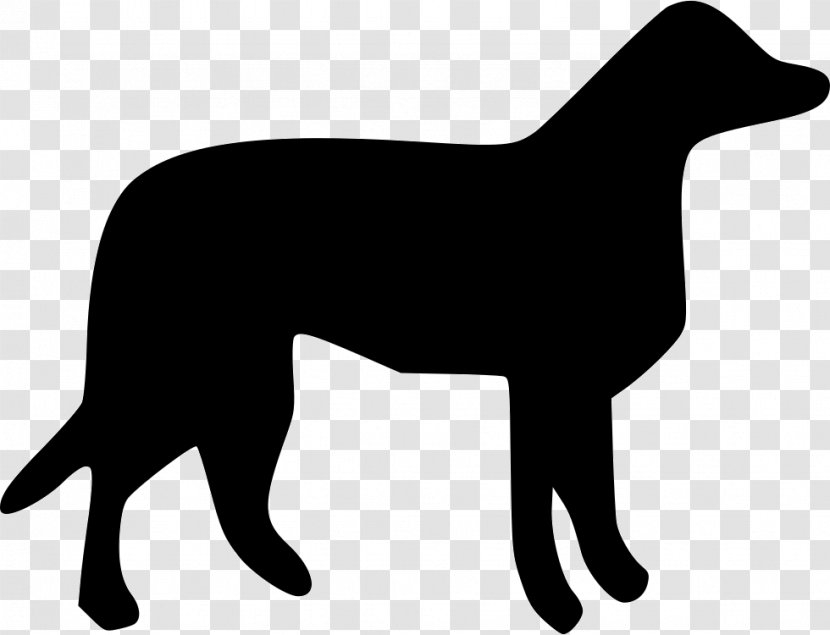 Labrador Retriever Puppy Dog Breed Otterhound Harness - Leash Transparent PNG