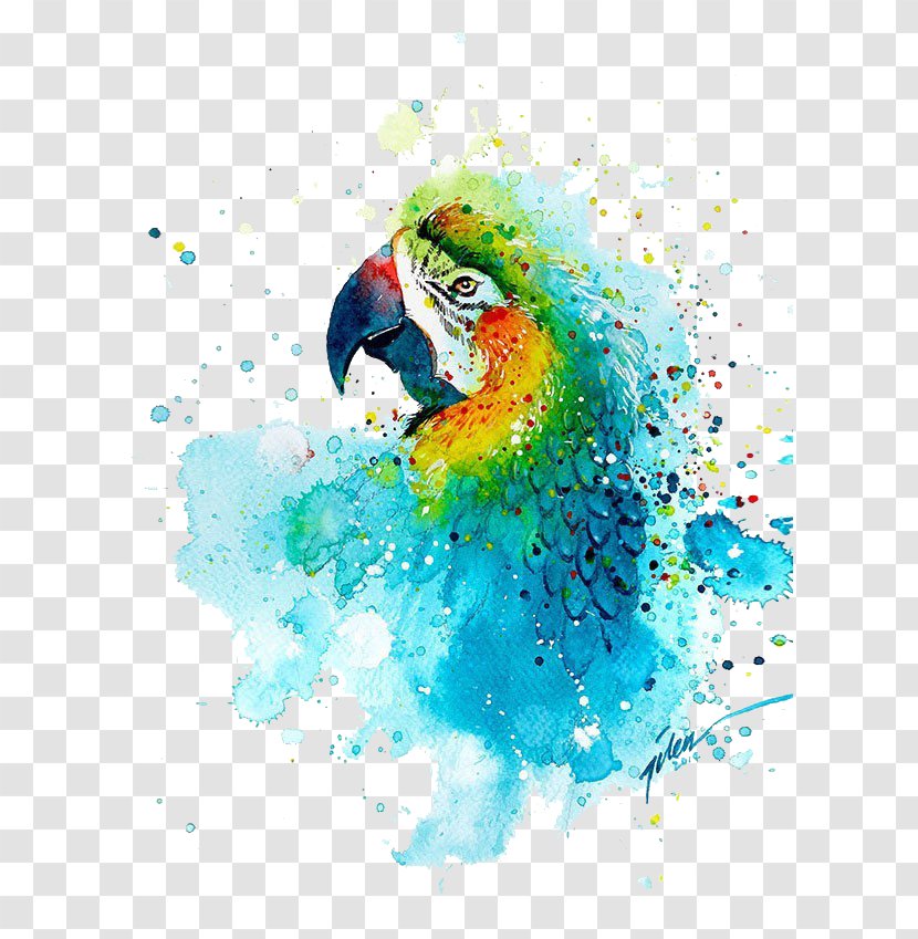 Watercolor Painting Art Printmaking Drawing - Parrot Transparent PNG