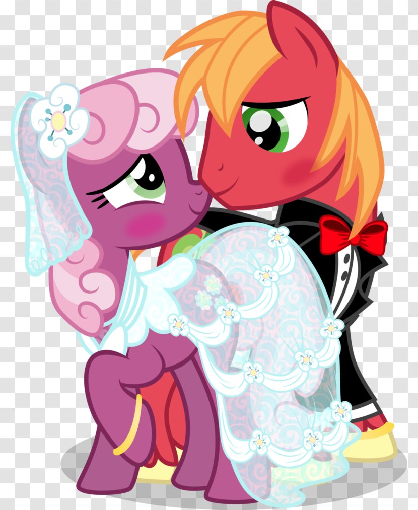 Big McIntosh McDonald's Mac Cheerilee Rainbow Dash Apple Bloom - Watercolor - Flower Transparent PNG