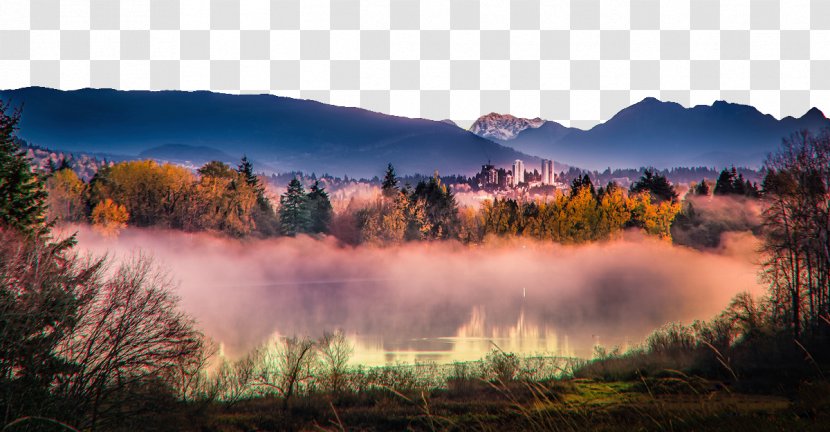 Map Photography Deer - Data Compression - Lake Late Autumn Pictures Transparent PNG