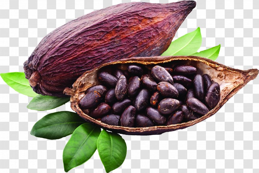 Criollo Cocoa Bean Solids Trinitario Chocolate Liquor - Commodity Transparent PNG