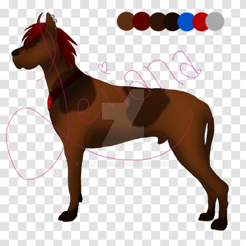 Dog Pony Mustang Stallion Halter - Abdomen Transparent PNG