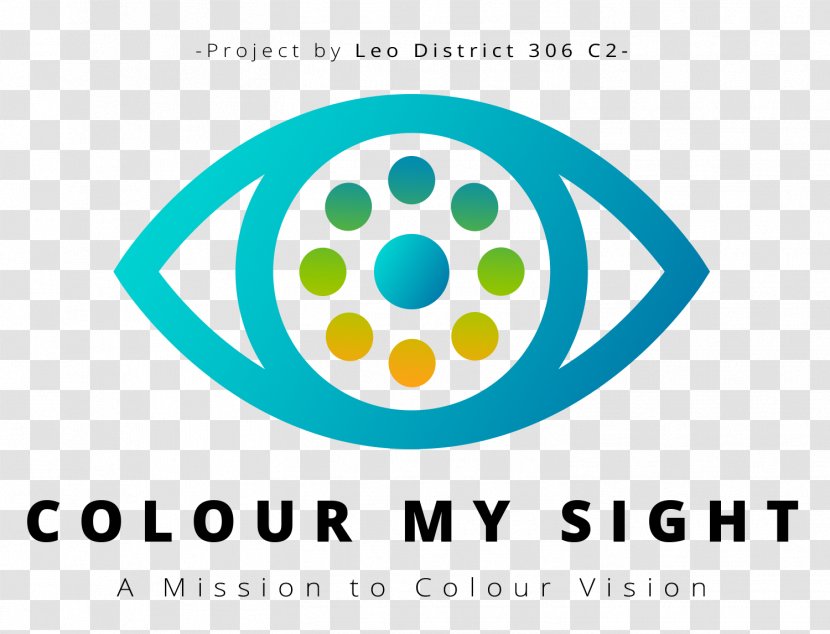Eye - Diagram - Art Transparent PNG