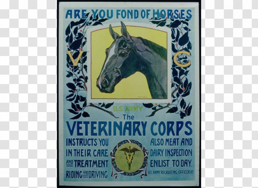 Poster First World War Horse Printing United States - Like Mammal Transparent PNG