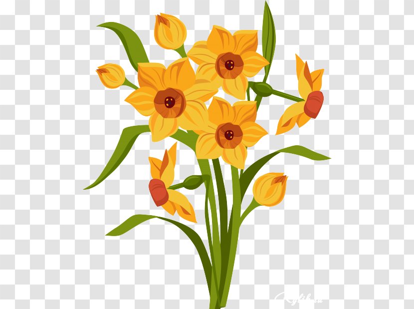 Royalty-free Drawing Daffodil - Floral Design - Beautiful Flowers Transparent PNG