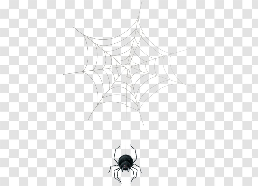 Spider Web Theridiidae Symmetry Point - Invertebrate Transparent PNG