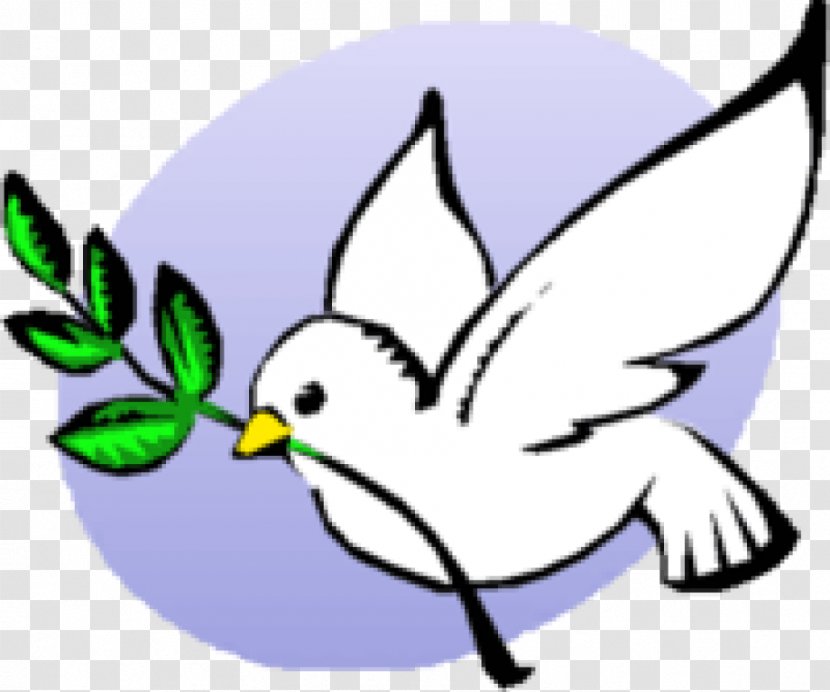 Doves As Symbols Olive Branch Clip Art Peace Image - Feather - Rcia Symbol Transparent PNG