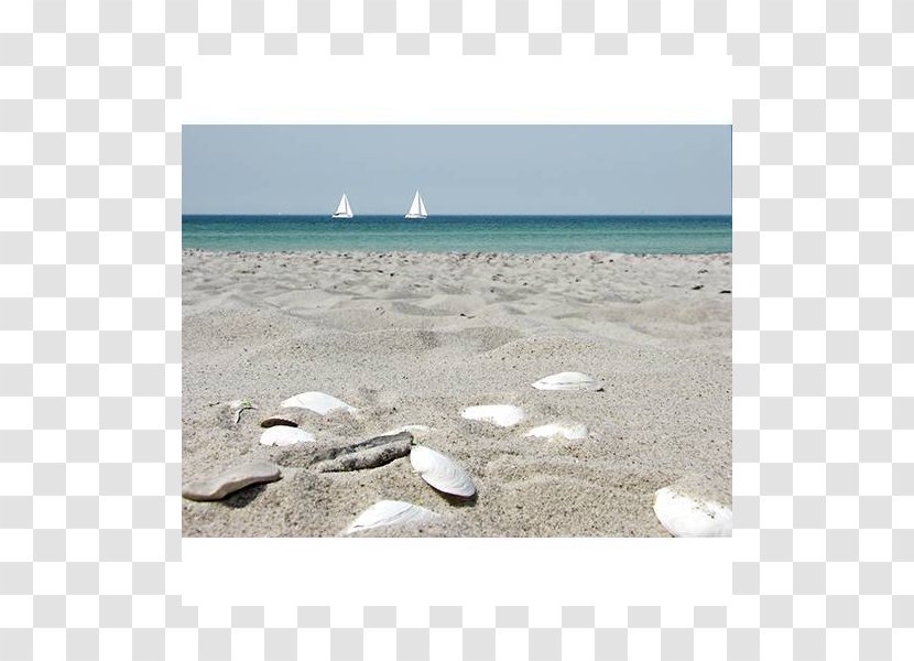 Fuerteventura Shore Beach Fotolia Sea Transparent PNG