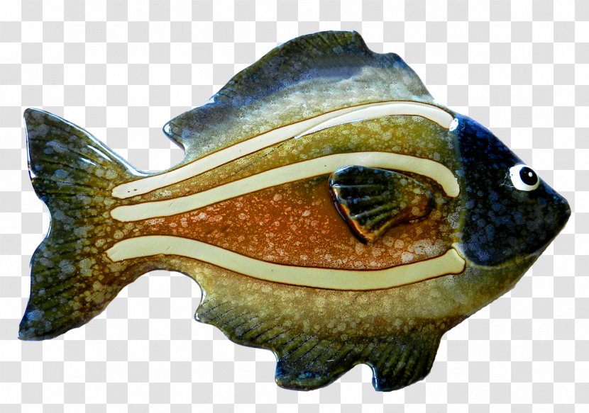 Image Fish Porcelain Pixel - Information Transparent PNG