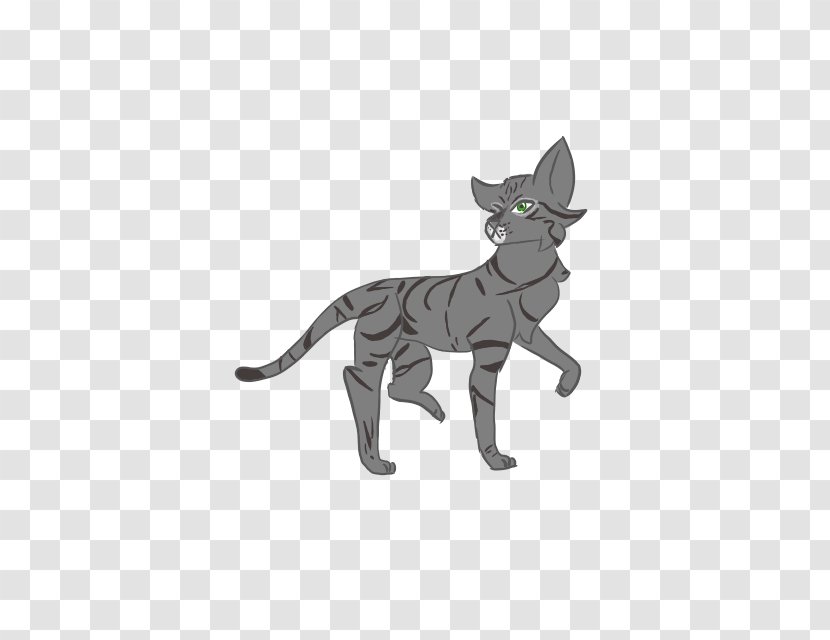 Whiskers Cat Dog Canidae Mammal - Tail Transparent PNG