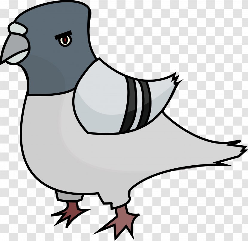 Domestic Pigeon Clip Art - Clipart Transparent PNG