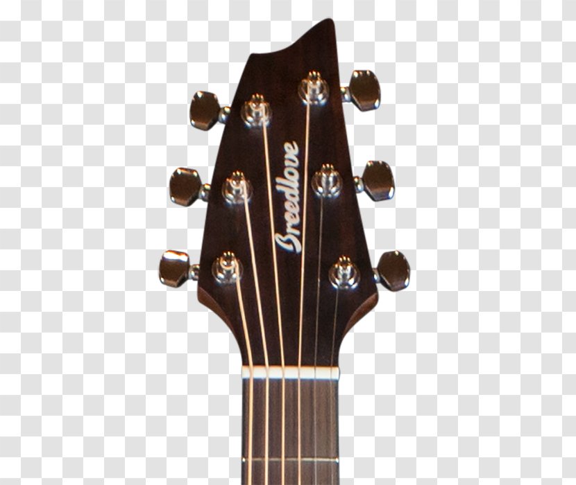 Acoustic Guitar Acoustic-electric Breedlove Guitars Discovery Concert Cutaway - Electric Transparent PNG