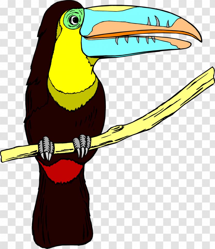 Bird Toucan Desktop Wallpaper Clip Art - Beak Transparent PNG