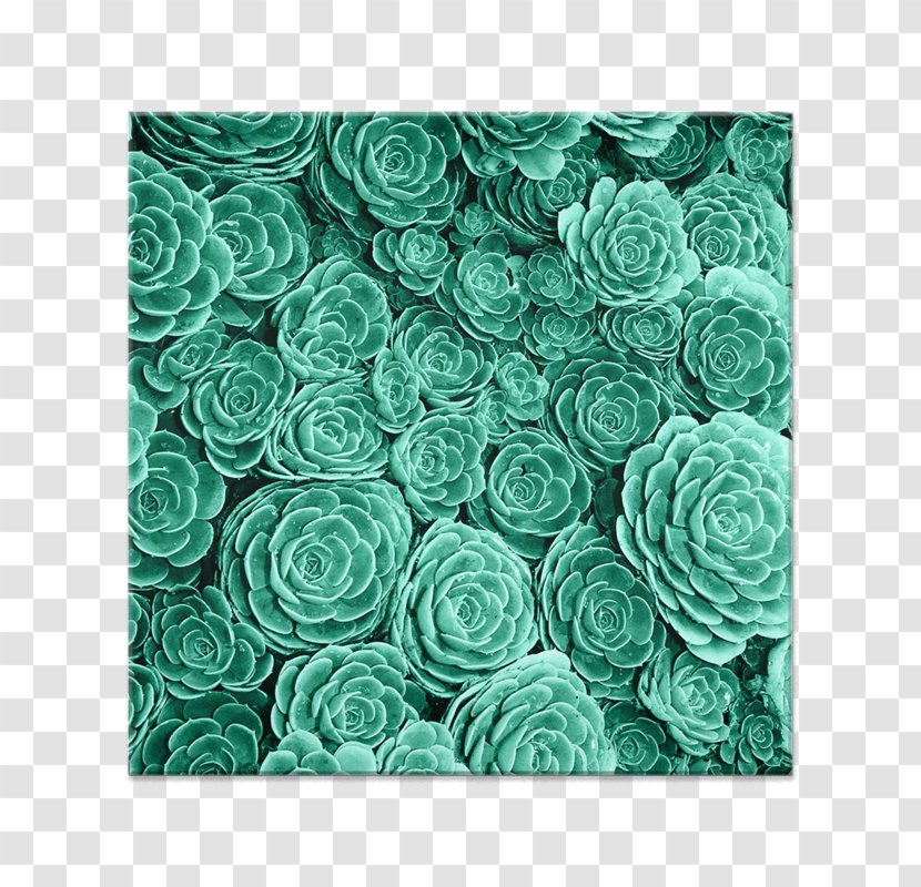 Desktop Wallpaper Garden Roses Screensaver Succulent Plant - Rose Family - Cactus Transparent PNG