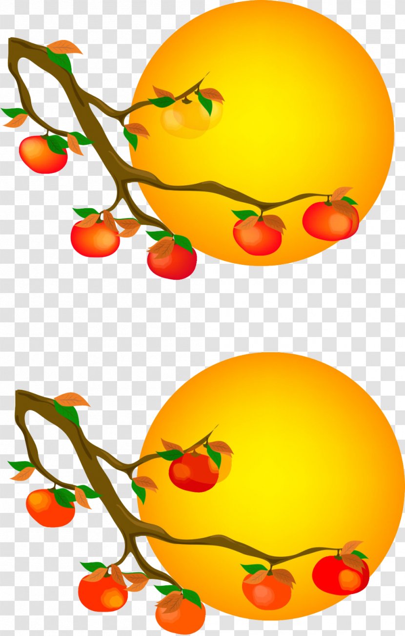 Persimmon Circle - Emoticon - Poster Transparent PNG