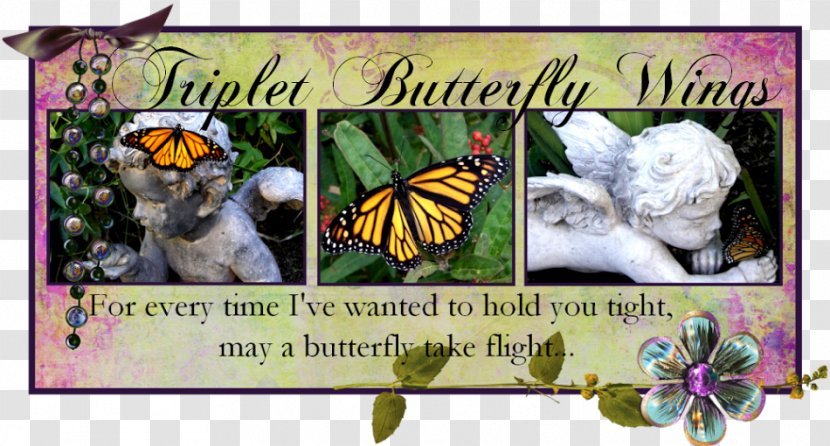 Brush-footed Butterflies Butterfly Song Dizigotiniai Dvyniai My Darkest Days - Moths And Transparent PNG