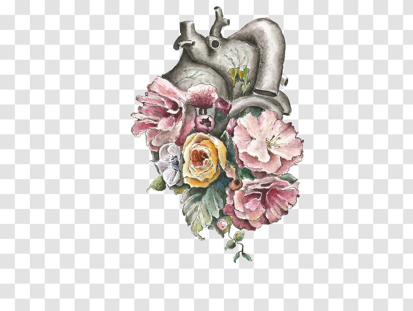 Anatomy Of The Heart Flower Lungs And - Watercolor Transparent PNG
