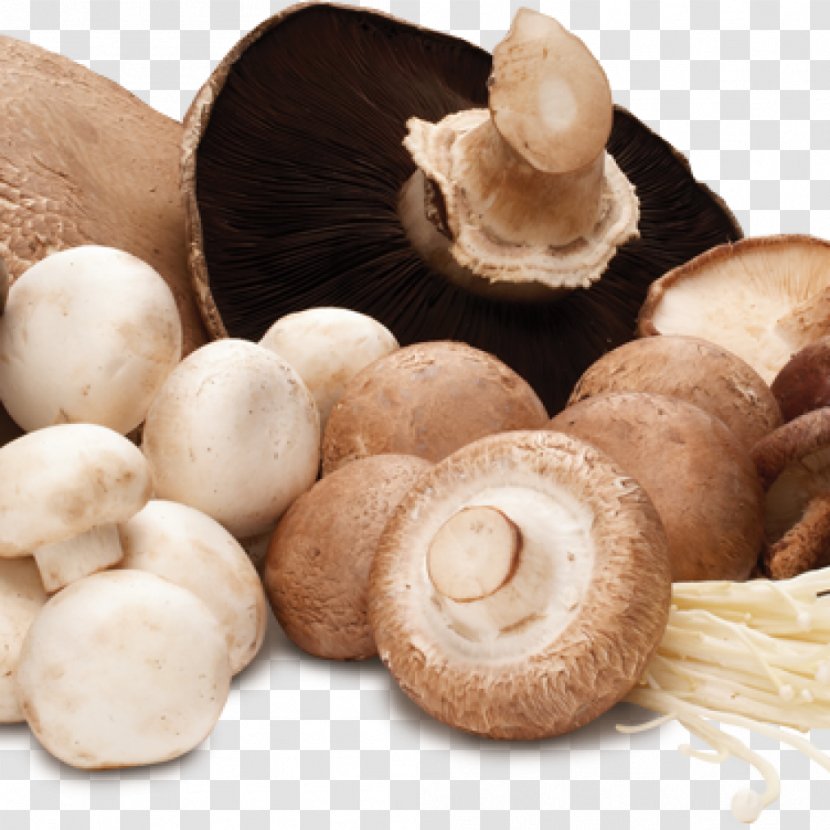 Common Mushroom Edible Food Vegetable - Ingredient - Mushrooms Transparent PNG