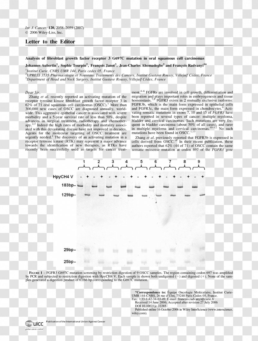 Document Line Angle - Frame Transparent PNG