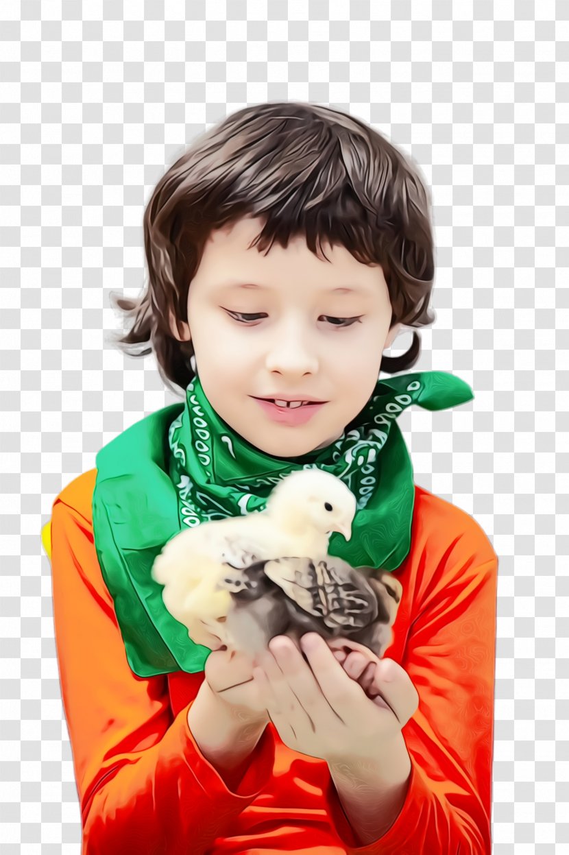 Child Cheek Toddler Play Bird - Gesture Transparent PNG