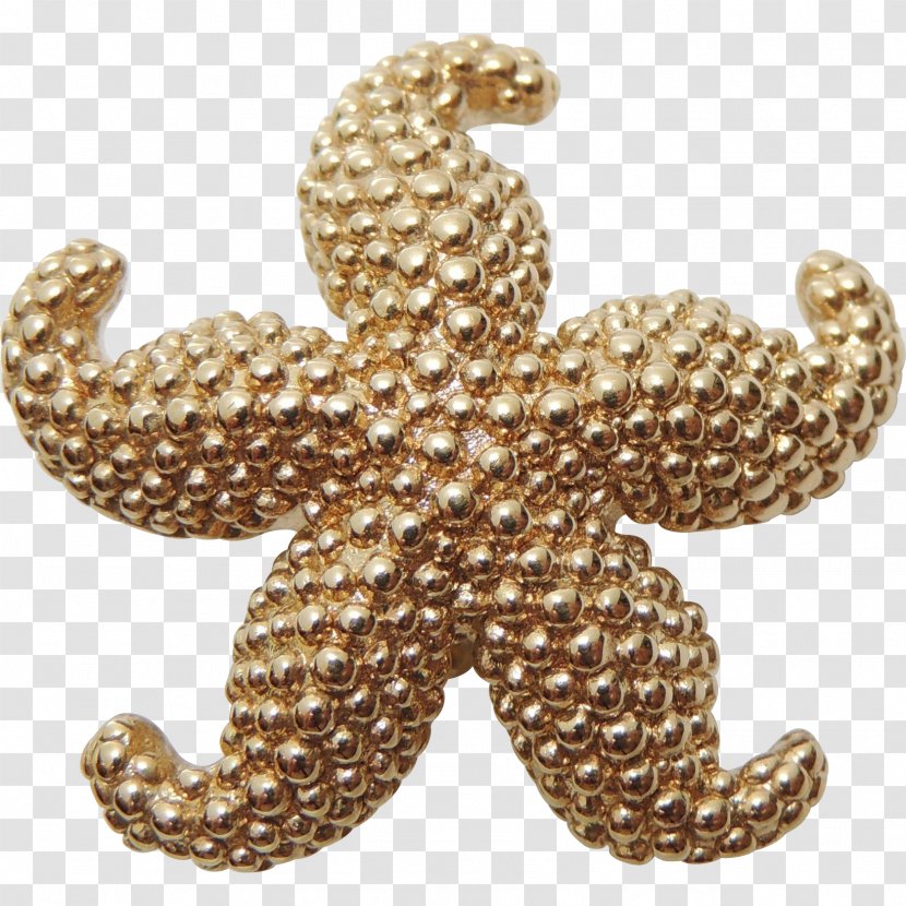 Jewellery Earring Charms & Pendants Brooch Gold - Starfish Transparent PNG