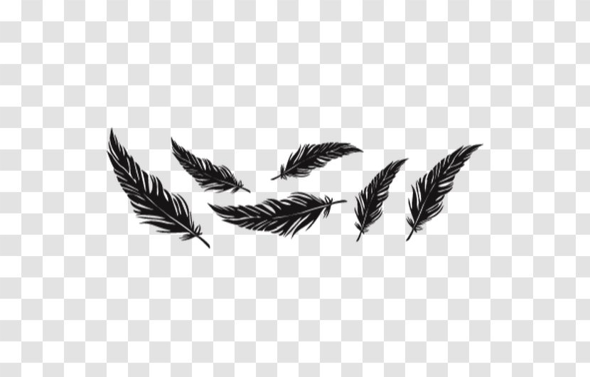 Tattoo Feather Bird Image Idea - Plant Transparent PNG